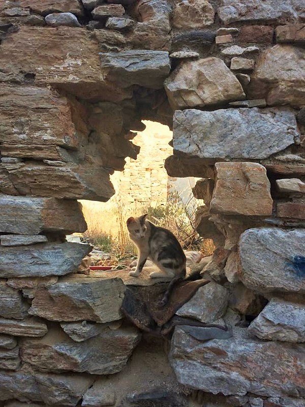 何とも神秘的な感じ。