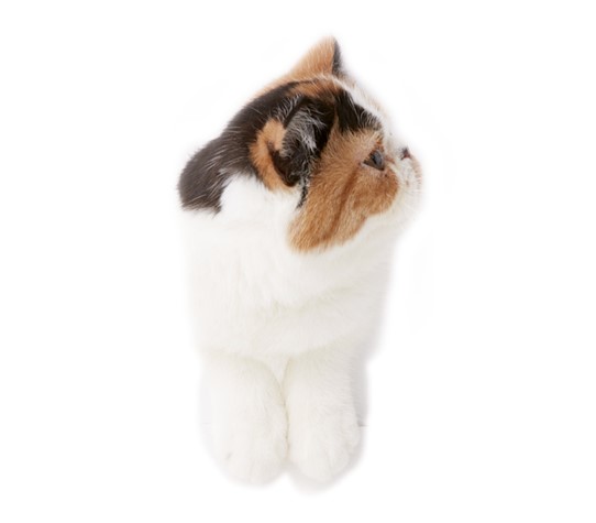 なるほど寐ていてする芸だから覚はないに違ない。しかし事実は覚がなくても存在する事があるから困る。