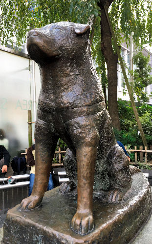 渋谷駅前の忠犬ハチ公の銅像。１９４８年に２代目として建てられた＝東京都渋谷区 