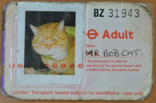 ボブ用に特別に発行されているロンドンバスの定期券