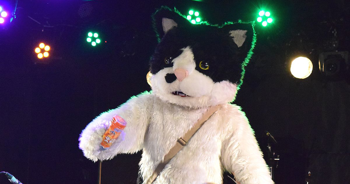 天国から帰ってきた“猫” 「むぎ」の音楽はやさしかった！ | 「犬や猫と