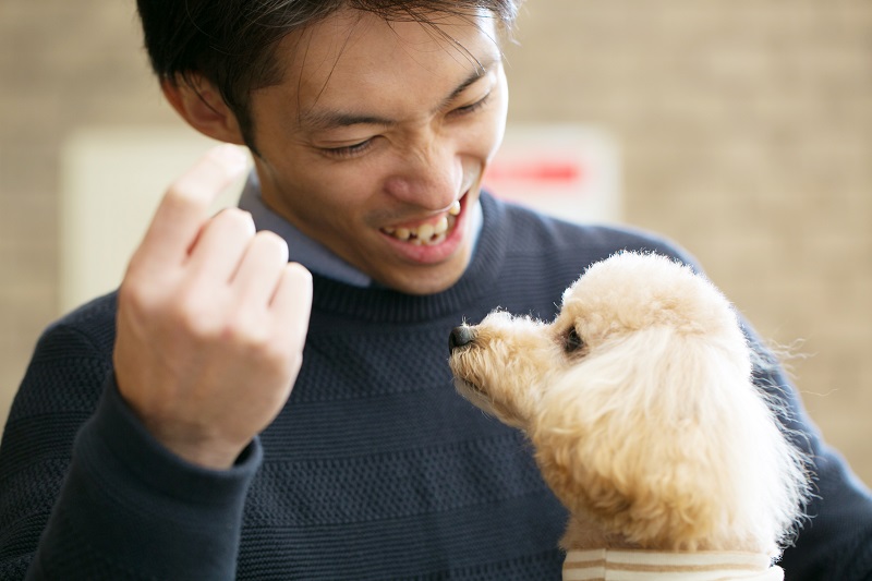 「お、いい子だ！」。和仁さんからのごほうびタイム