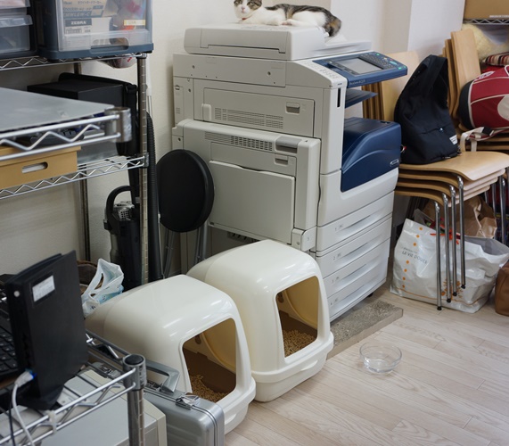 トイレは2階に３つ、3階に２つ設置している