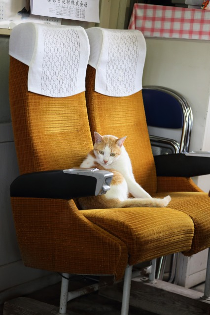 「駅猫Diary」より＝洋泉社提供