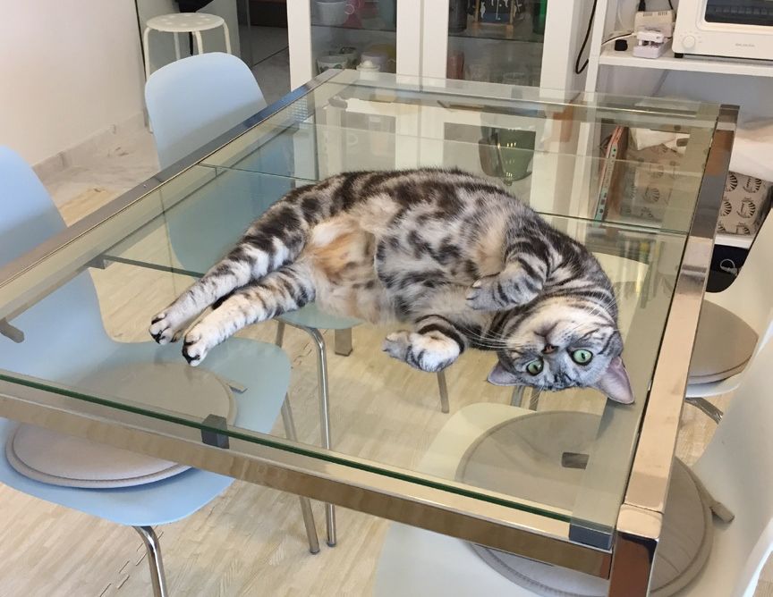 ダイニングテーブルには何も置かない