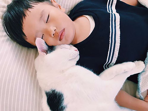 「ザクロとたい」から　（ぴあ／もりもとりえ）