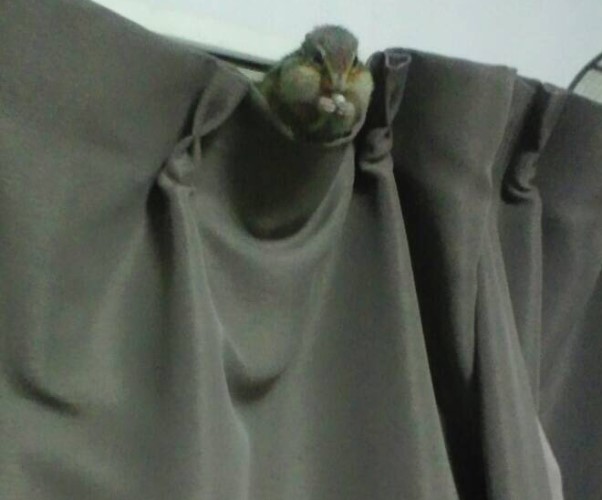 「眺めがいいな」