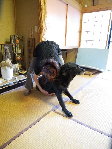 よいしょっと掛け声で起き上がらせる