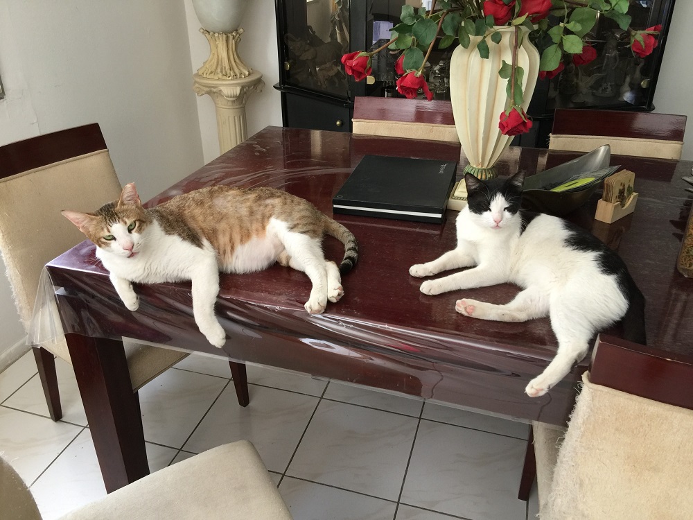 「何見てんだよ！！」的な…