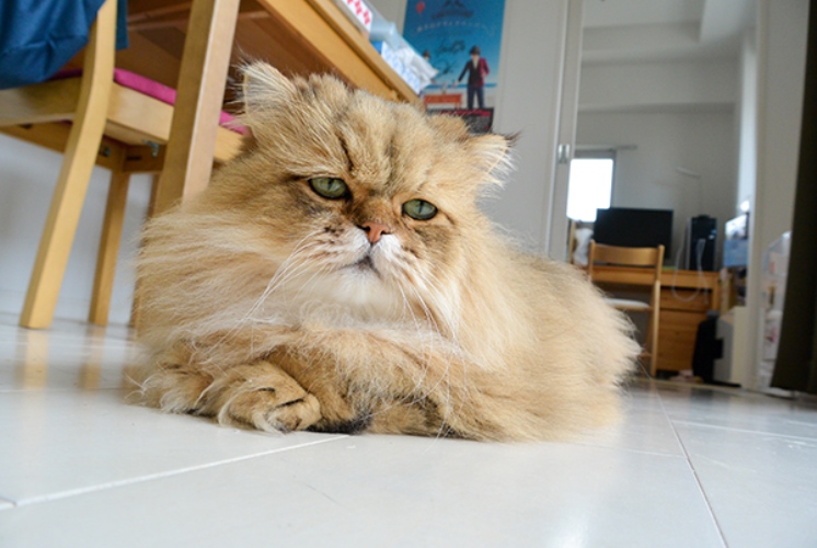 写真＝牧野直樹　（デジタルカメラマガジン）