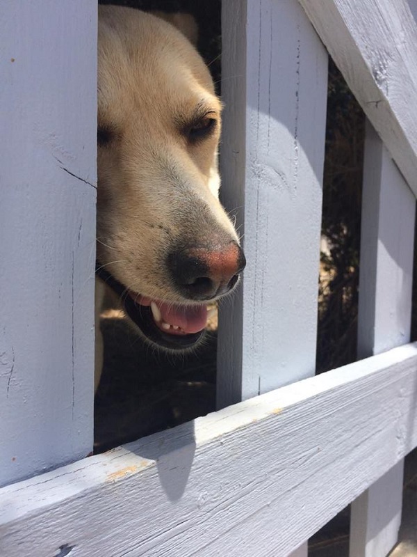 写真も良いけど遊んでよー