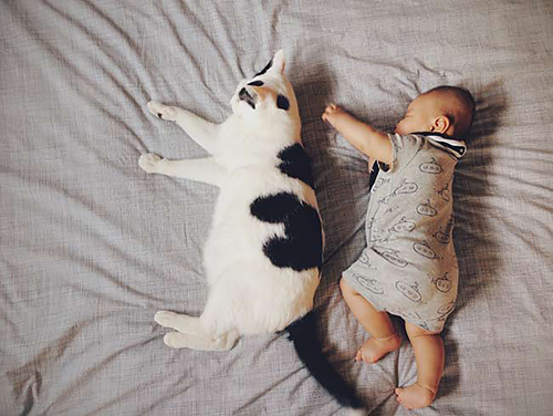 「ザクロとたい」から　（ぴあ／もりもとりえ）