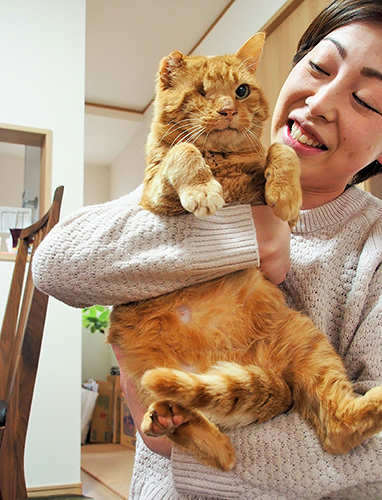 キリッとすると、案外男前