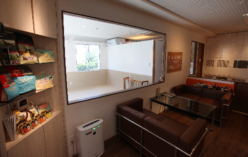 フリースペース（左）で遊ぶ犬たちの様子をガラス越しから見学できる＝竹谷俊之撮影 