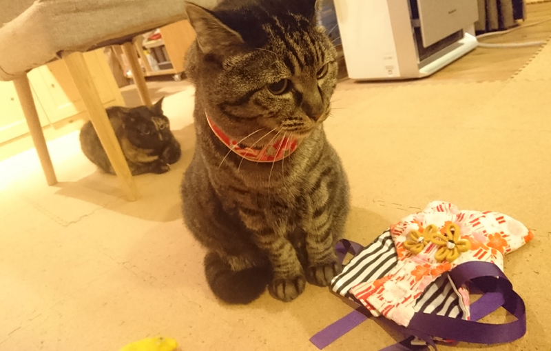 襟をつけてみる