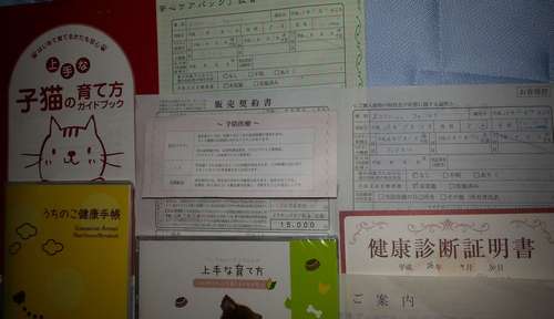 ペットショップと交わした契約や渡された健康診断書には、心臓病に関する記載は一切なかった