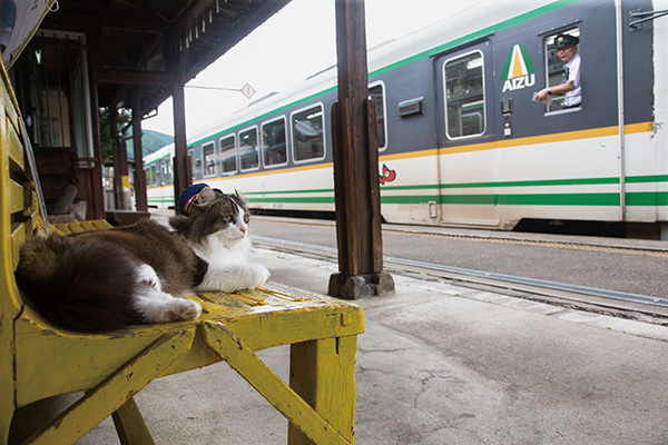 「車掌さん、お客様を安全に運んでね！」