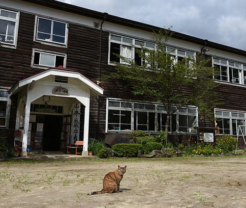 奥深い山々に囲まれた旧木沢小学校