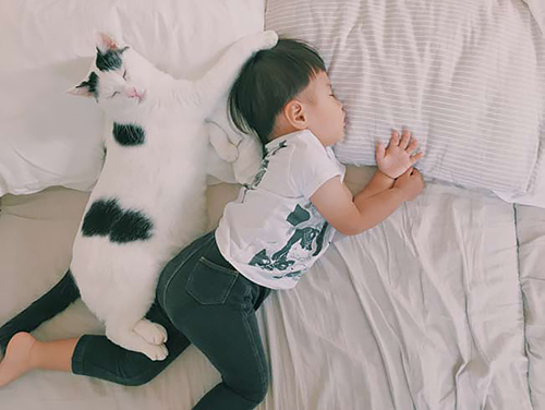 「ザクロとたい」から　（ぴあ／もりもとりえ）