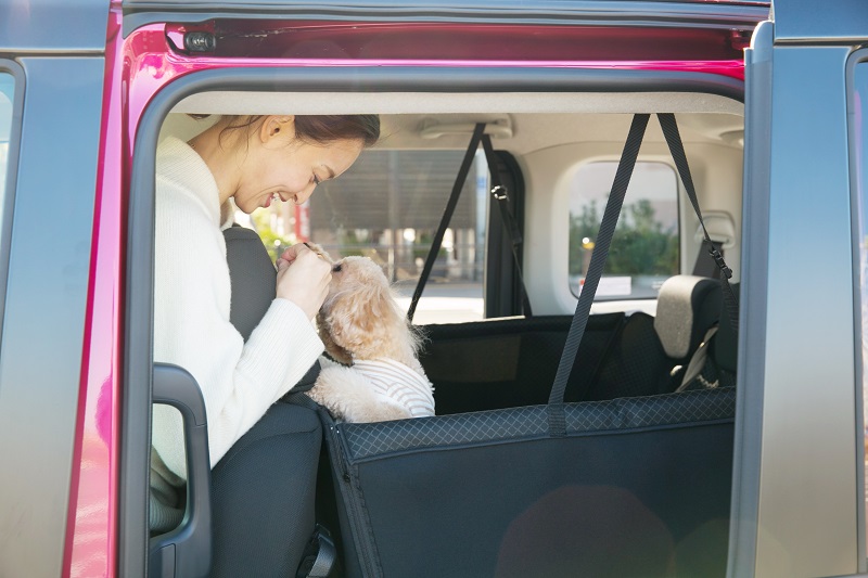 「さぁ、着いたよ！」と愛犬に声を掛ける理恵さん