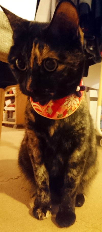 ベストショットも、表情が暗い