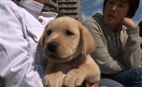「子犬はトイレのしつけが大変」右が明子ママ