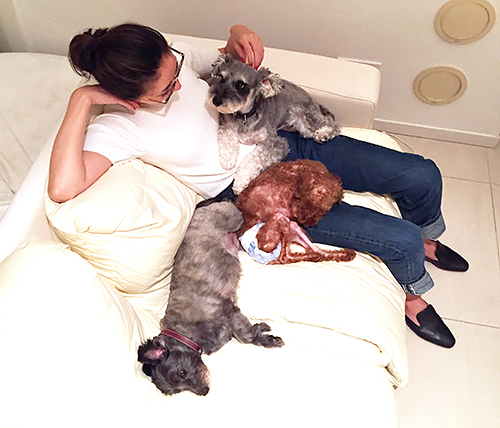 一番いい場所を取るヴィヴィアン