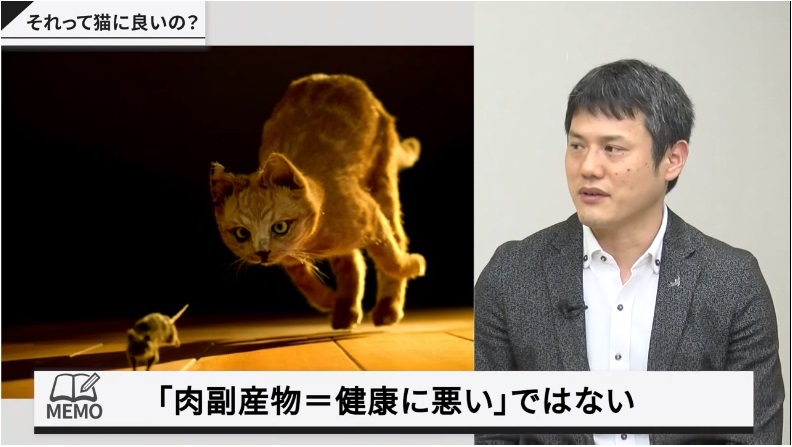 初心者猫オーナーと座談会 猫専門病院の山本宗伸院長に悩みや疑問 