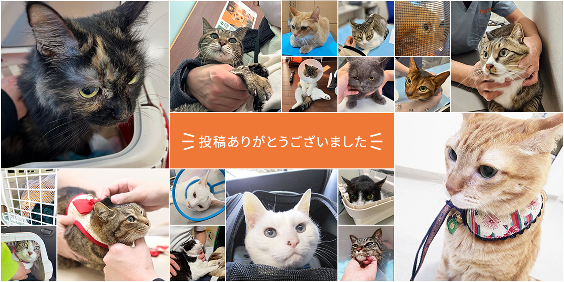 みんなの投稿