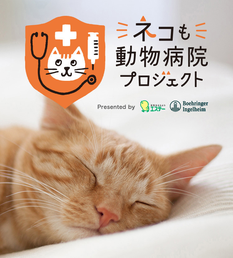 ネコも動物病院プロジェクト | 「犬や猫ともっと幸せに」をコンセプト